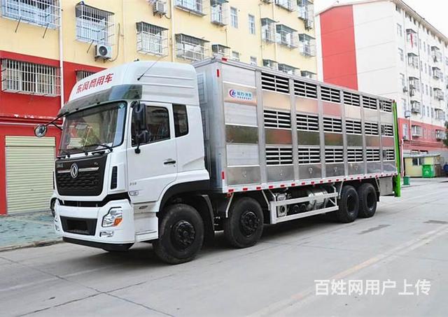 东风天龙前四后八全铝合金货厢畜禽运输车厂家直销的图片