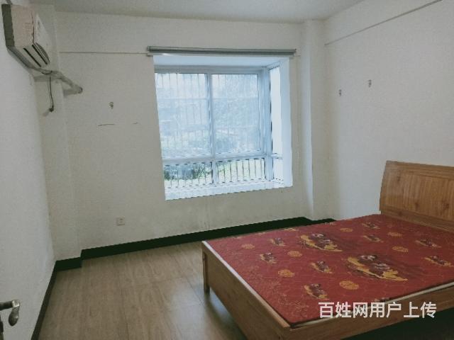 新潭故里房子出租的图片