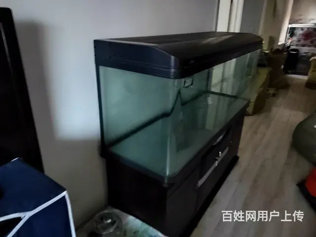 鱼缸1.5米的图片