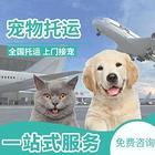 保定满城托运{猫狗}活体运输邮寄（承接所有活体运输安全202