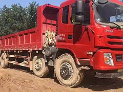 新乡 20年东风华神7.4米自卸车 急售