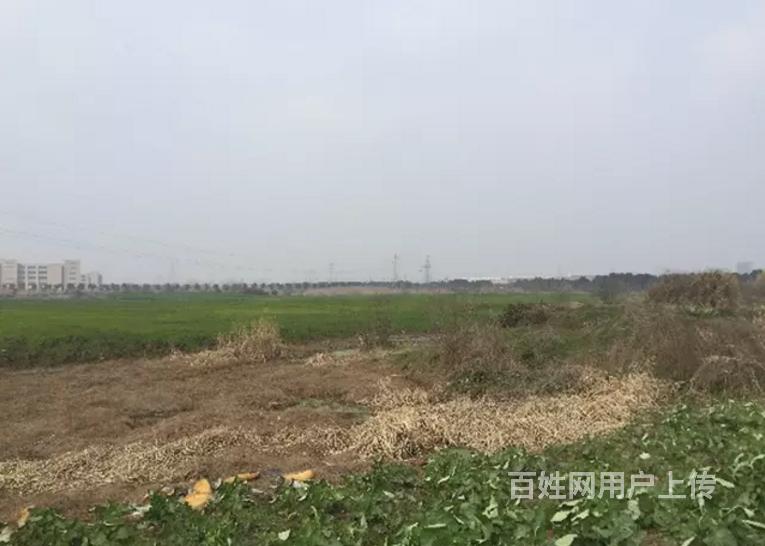 海盐一手工业用地20亩出售,印刷集成吊顶塑料包装