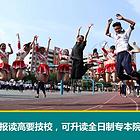0学费航空服务、药物营销、机器人专业、电子商务、幼