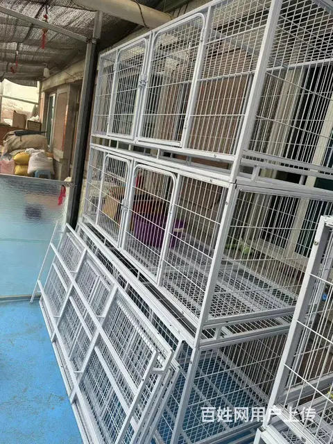 猫笼的图片