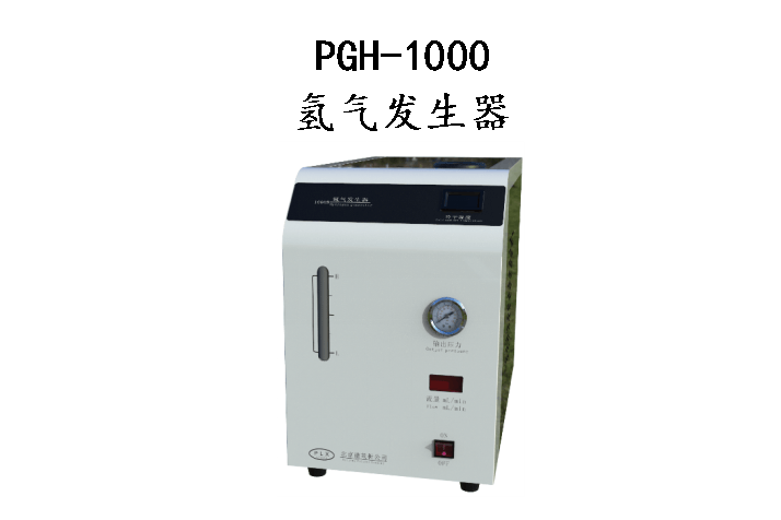 PGH1000氢气发