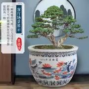 景德镇陶瓷庭院大缸手绘山水种树养鱼盆青花瓷睡莲荷花