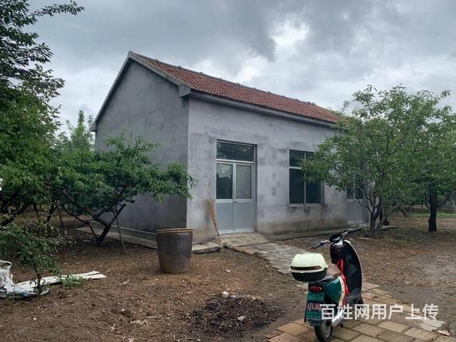 临淄区程营村出租仓库、办公室、园林区的图片