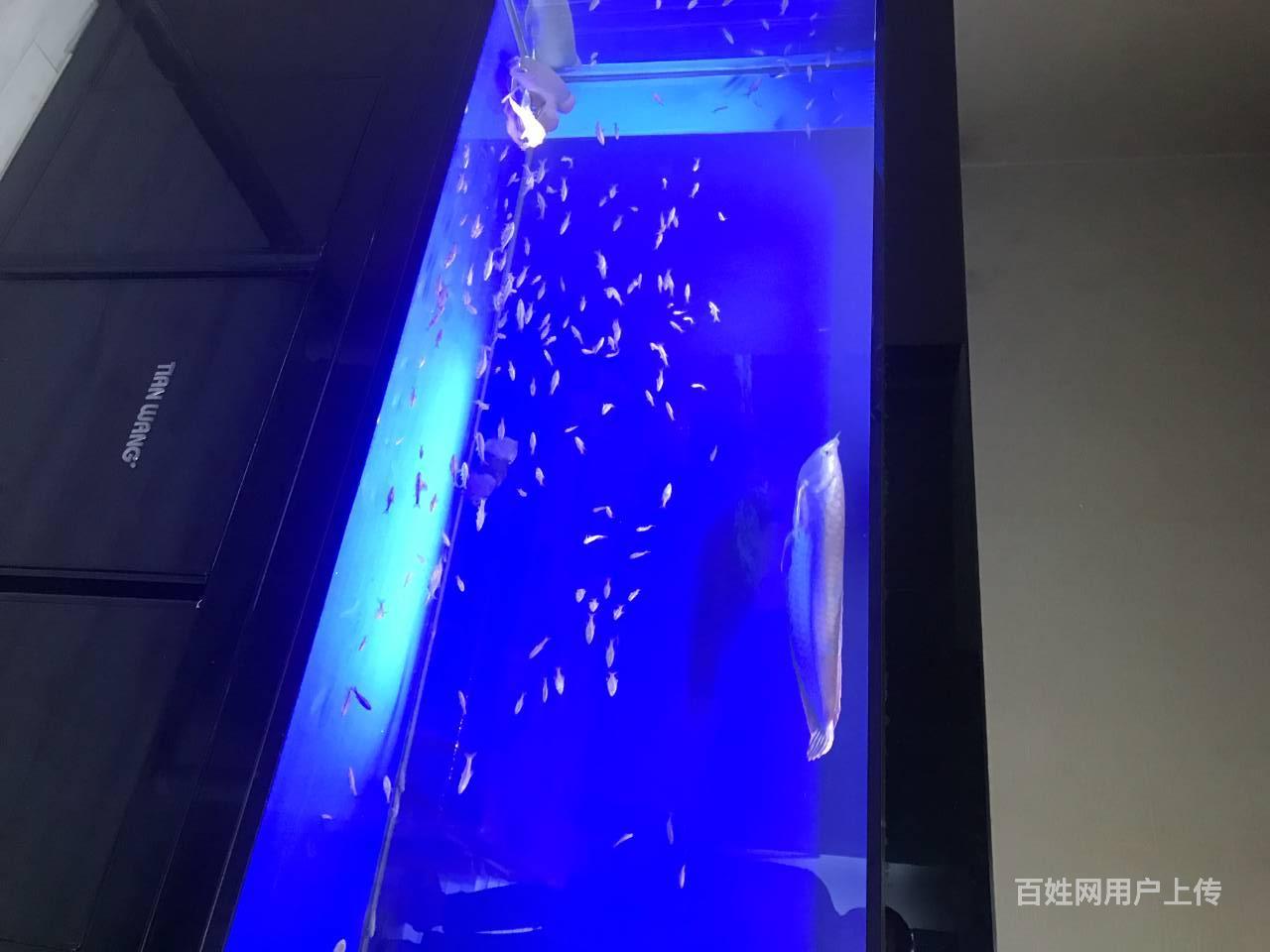 天王水族箱2米鱼缸包含下滤水泵滤材led全套带鱼