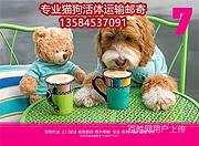 焦作市宁波宠物托运（猫狗）邮寄快递（宠物活体运输)今日推荐