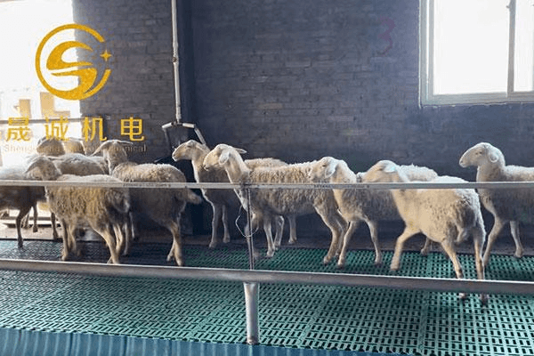 羊漏粪板5