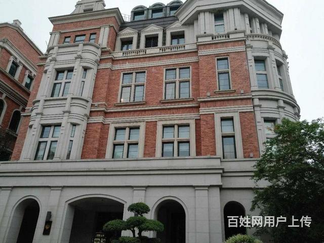 公园央墅杨浦内环别墅大独栋拥市政三大公园送大花园