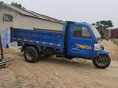 五征三轮 其他 自卸车
