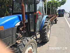 妞荷兰704