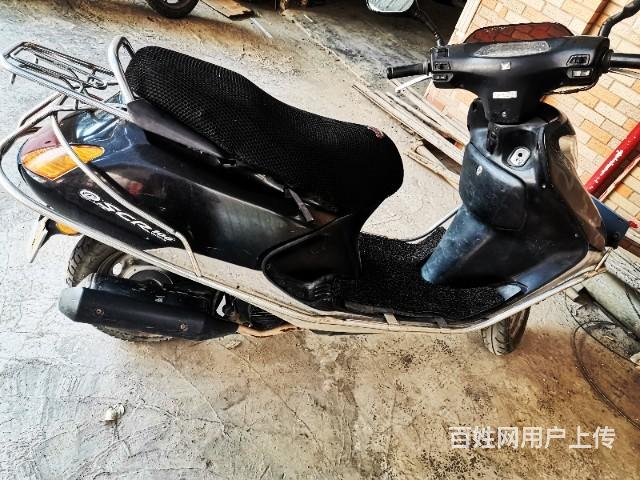 【图 进口羊仔 汕尾海丰二手摩托车 海丰百姓网