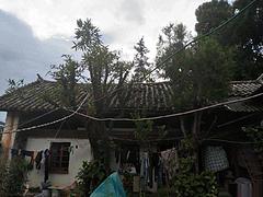 临翔区艾乐幼儿园附近环城路上边老宅子出售