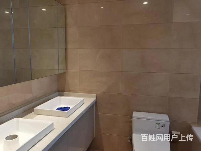 独栋别墅 花桥梦世界 西上海 35万方商业中心 300平花园的图片