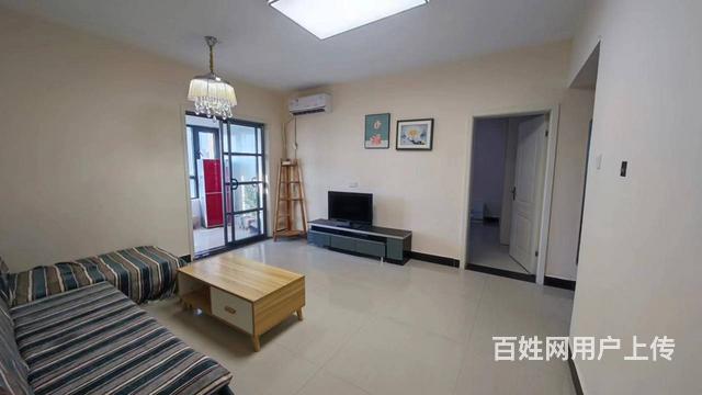 新华国际出租 普通住宅2厅 精装修的图片