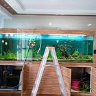 广州上门清洗鱼缸，上门维修鱼缸，鱼缸造景