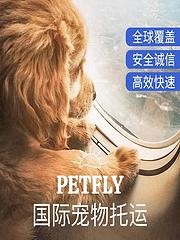 宁波象山周边宠物托运（猫狗活体快递）陆运 空运至全国