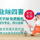 日照上门家庭杀虫灭鼠上门灭白蚁公司电话