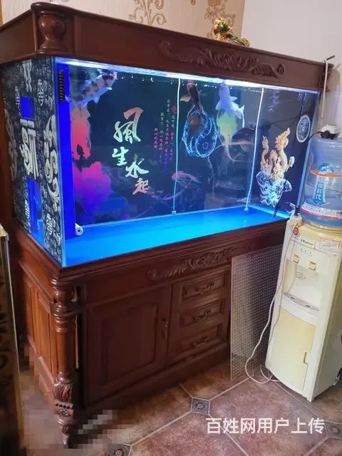 转让鱼缸纯实木欧式龙鱼缸的图片