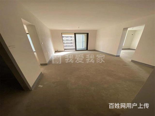 恐龙园+世茂+香槟湖+迪诺水镇常州东部高端地块的图片