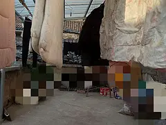 明清古街便宜出租