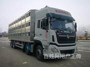 东风天龙铝合金畜禽运输车  厂家地址