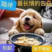 青岛哪里有卖金毛_专门繁殖的地方