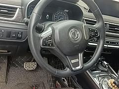 东风风光