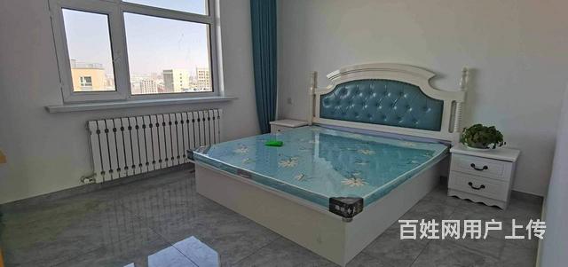 河东新区水岸雅居 商住两用 精装修的图片