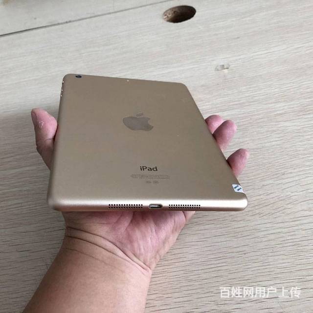 苹果ipadmini316gwifi版金色