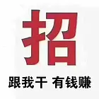 小体比熊！品相好