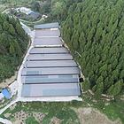养殖场出租