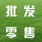 衡阳新的早熟禾草籽供应商