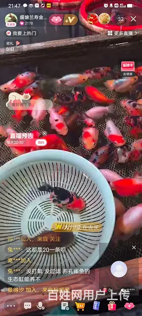 水族器材处理的图片