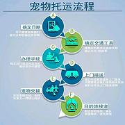 许昌长葛宠物托运 （猫狗活体运输）宠物快递至全国