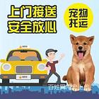 滁州宠物托运{猫狗长途搬家}活体快速邮寄2024安全快捷全国