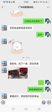 毕节织金县宠物托运（猫狗）活体运输邮寄2022（推荐实体店）
