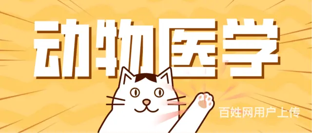 四川农业大学小自考专升本动物医学怎么报名？多久考试的图片