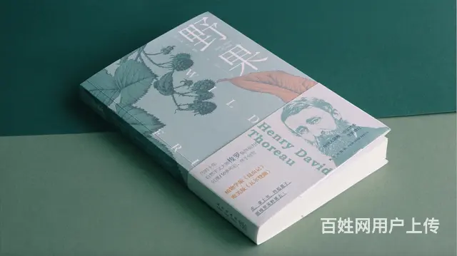 绍兴平面ui培训，广告设计师，插画原画培训的图片