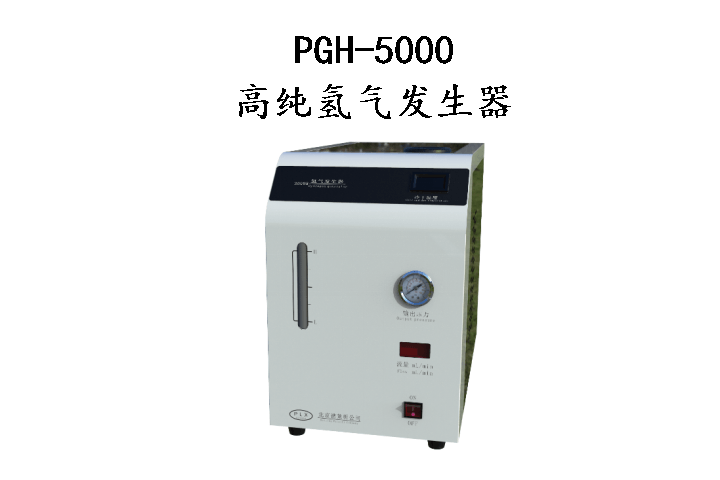 PGH5000高纯氢