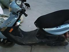 转让爱车一口价