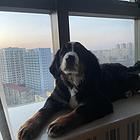 伯恩山低价出售