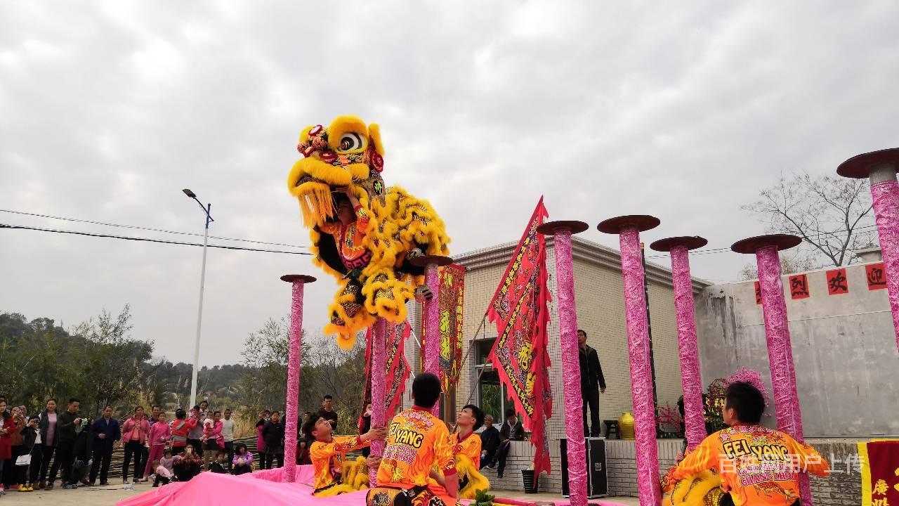 专业跳桩高桩醒狮梅花桩舞狮表演开业庆典