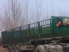 高栏 半挂车 高栏 国5