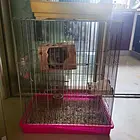 出售一个龙猫笼子