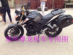 厂家直销全新酷炫跑车 越野 沙滩 踏板 侉子
