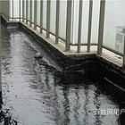 #安顺#酒店洗手间漏水维修【做防水选我们】