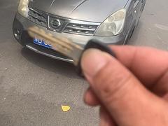 尼桑丽威